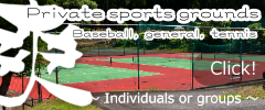 Private sports ground Individuals or groups Baseball,tennis,soccer,rugby,handball,etc