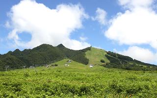 夏の岩原