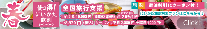 使っ得！にいがた旅割