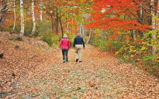 里山や自然の中でハイキング