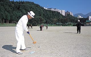 Ground Golf