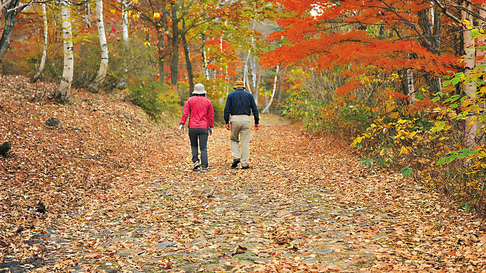 Hiking in the natural woodlands