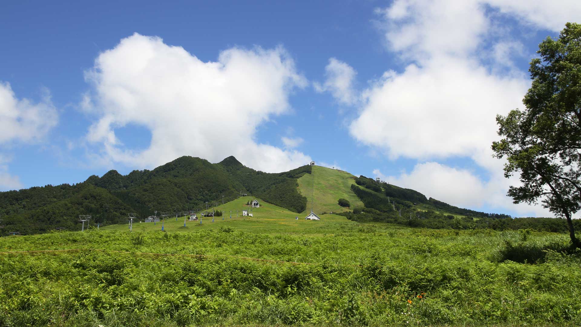 Spring Summer and Autumn leisure