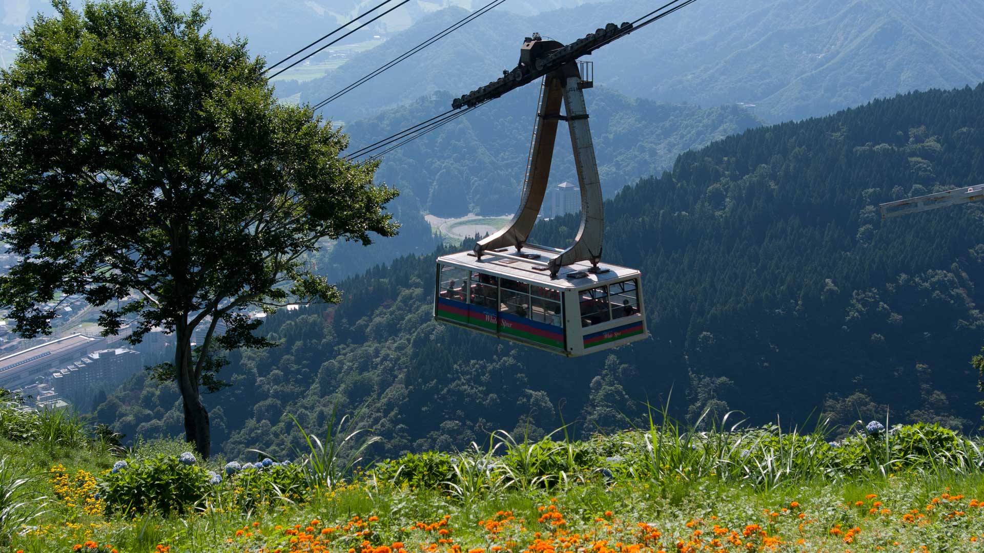 Spring Summer and Autumn leisure