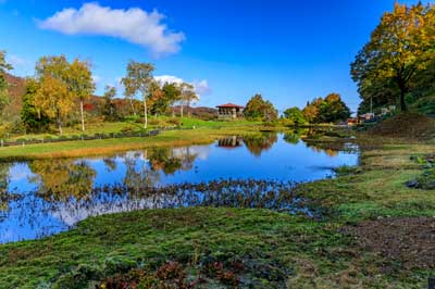 Yuzawa Kogen autumun