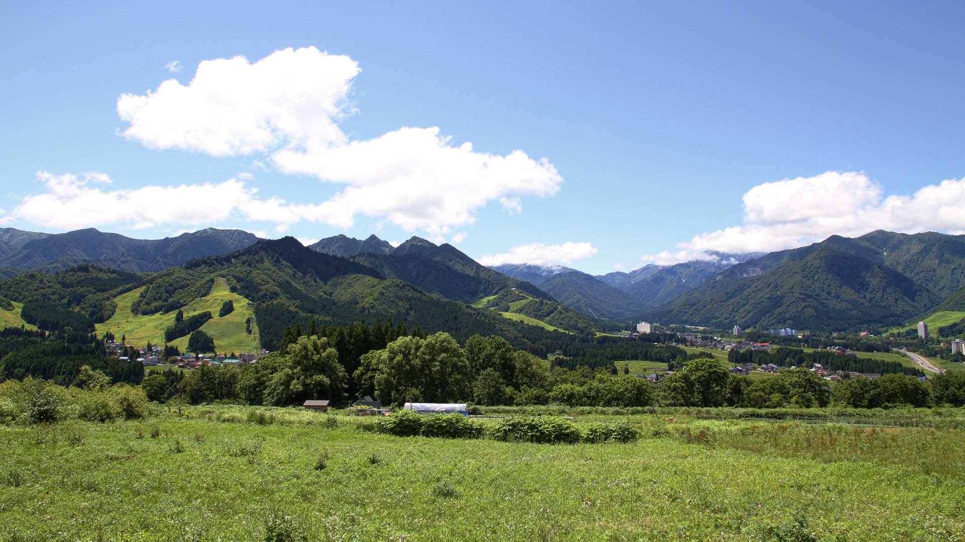 Spring Summer and Autumn leisure