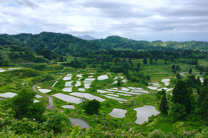 Hoshitoge Rice Terraces